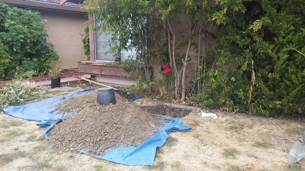 Slide of Lalo's Sewer and Drain