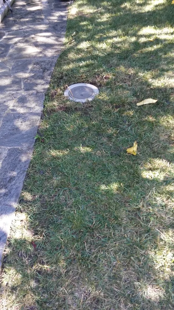 Slide of Lalo's Sewer and Drain