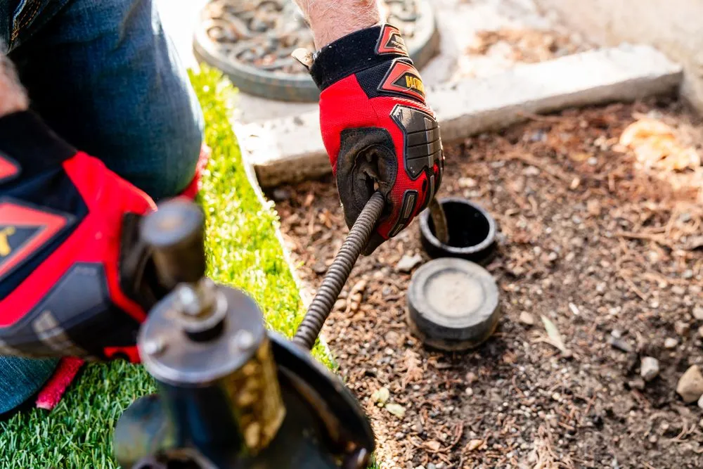 Slide of Lalo's Sewer and Drain