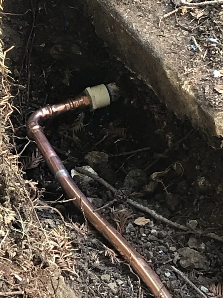 Slide of Lalo's Sewer and Drain