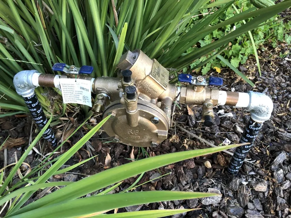 Slide of Lalo's Sewer and Drain