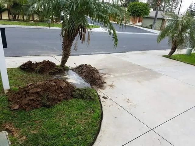 Slide of Lancelot's Plumbing