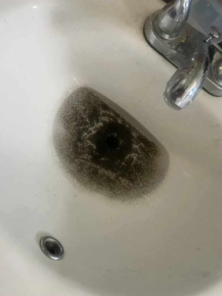 Slide of Lanier's Plumbing & Rooter Service