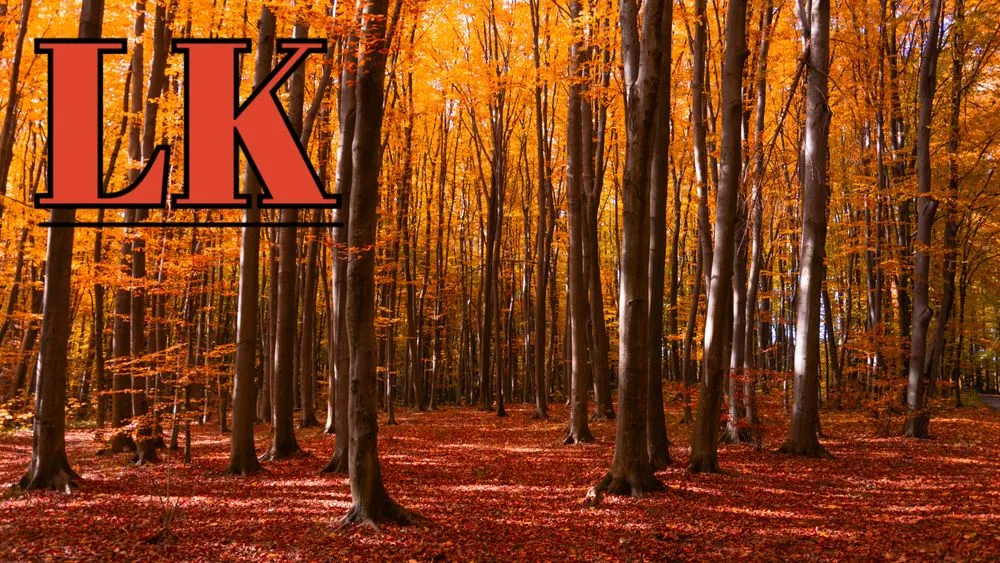 Slide of Lanko Fire Protection