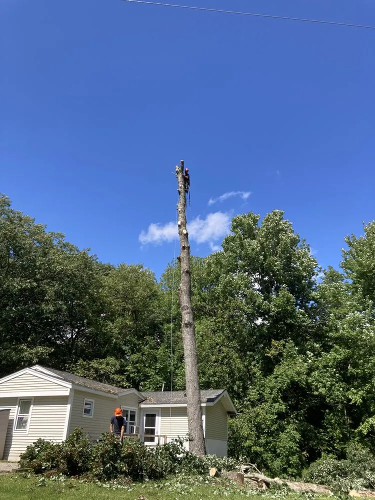 Slide of LAQ'S Property Management