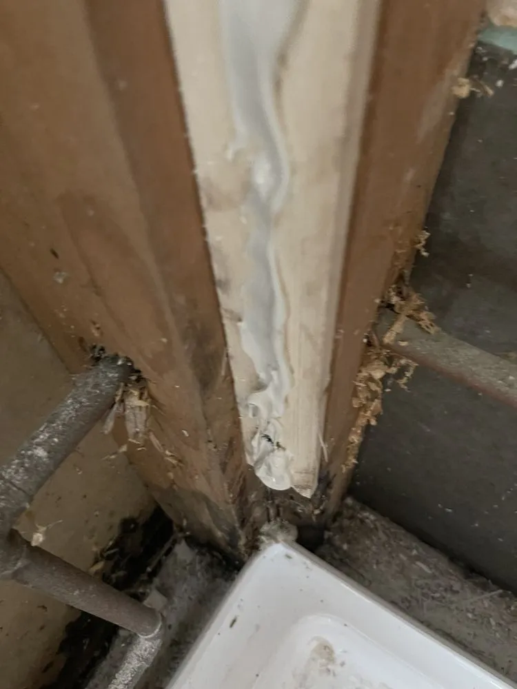 Slide of Lara Remodeling