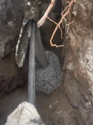 Larel Block Quality Plumbing