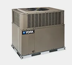 Slide of Larew Kuper