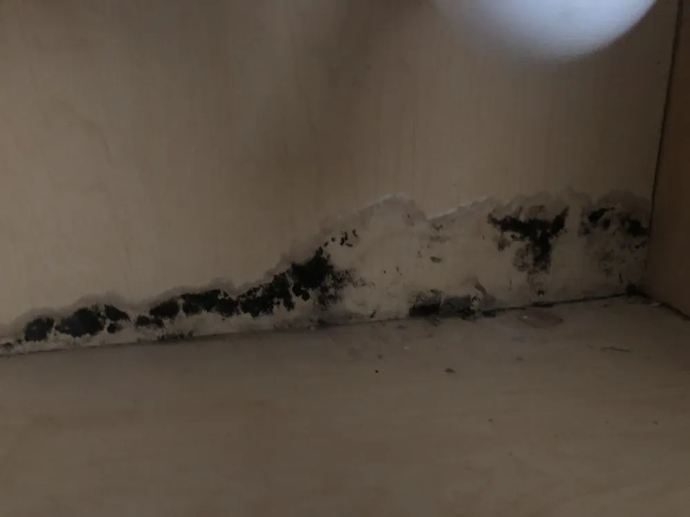 Slide of Largo Plumbing