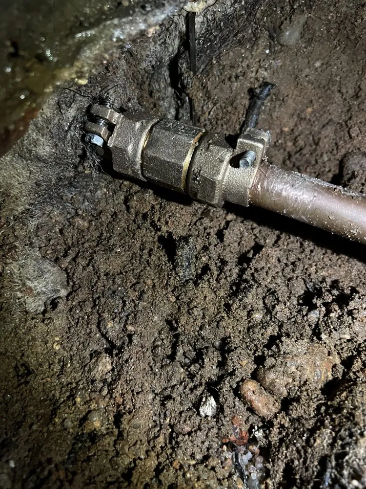 Slide of Larry & Company