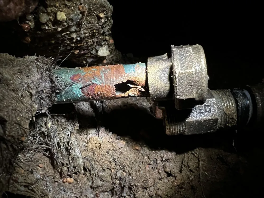 Slide of Larry & Company