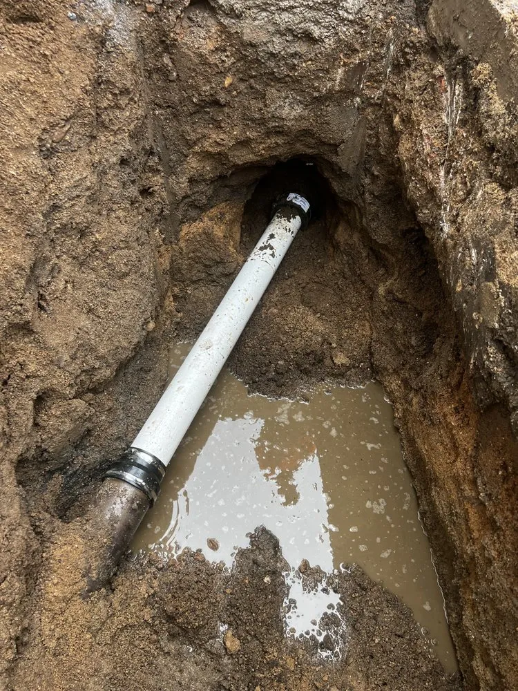 Slide of Larry & Company