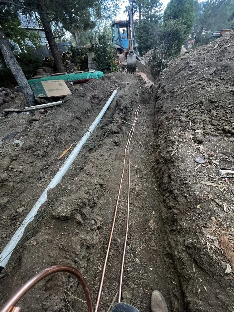 Slide of Larry & Company