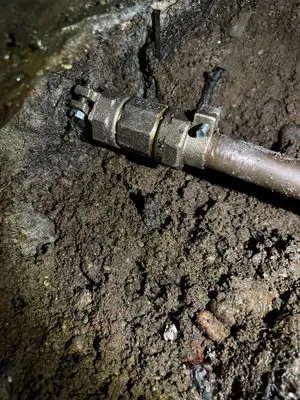 Larry & Company Logo