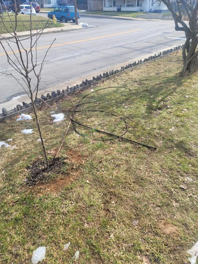 Slide of Larry & Sons