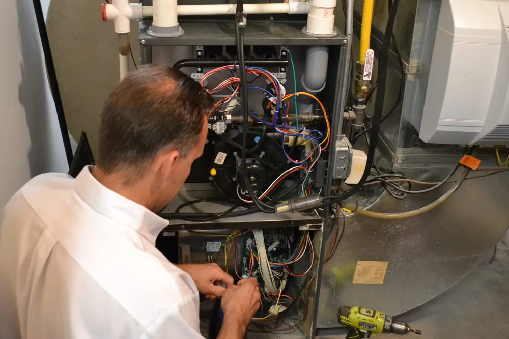 Slide of Larry & Sons