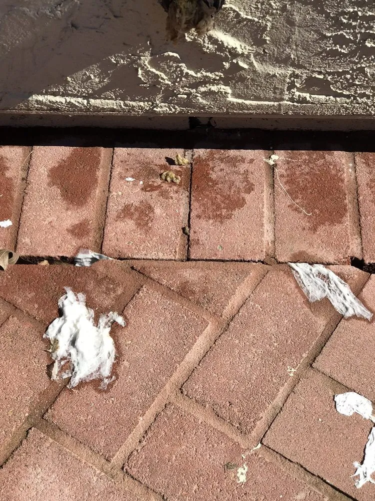 Slide of Larry's Handy Plumbing