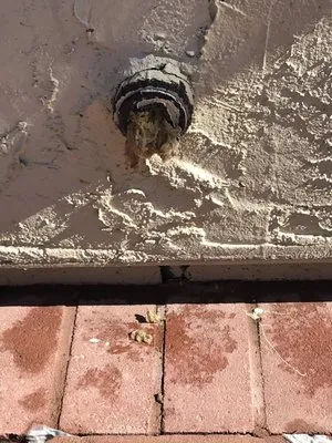 Larry's Handy Plumbing