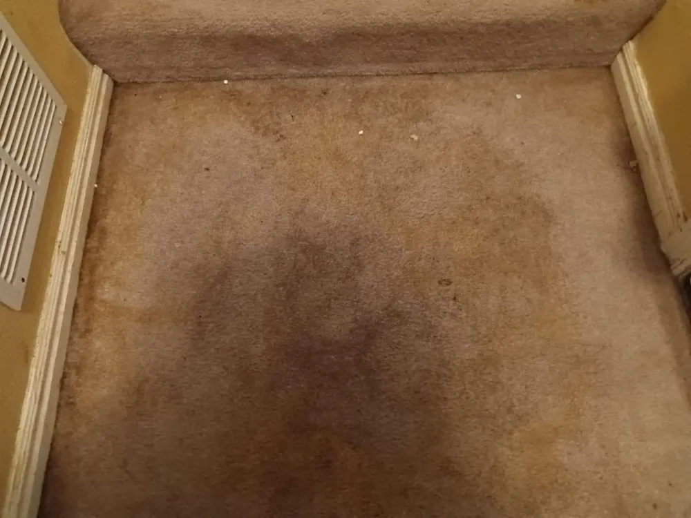 Slide of Larsen Plumbing