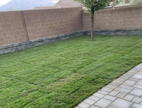 Slide of Las Vegas Nevada Landscaping