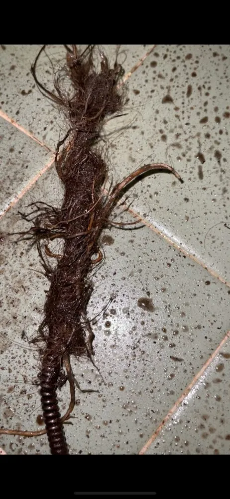 Slide of Late Night Plumbing