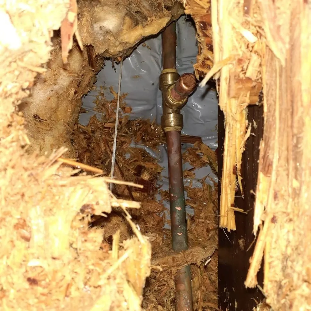 Quality emergency plumbing in Sacramento, CA by Lateral Cleaning Specialists Plumbing