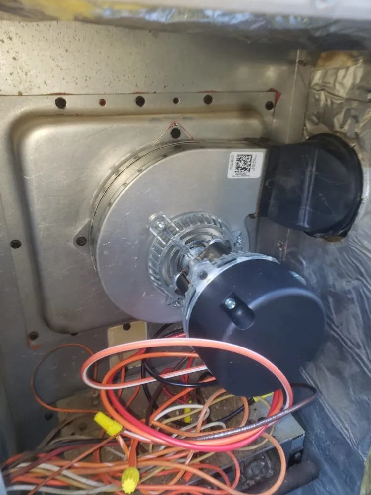 Slide of Latimers Technician service