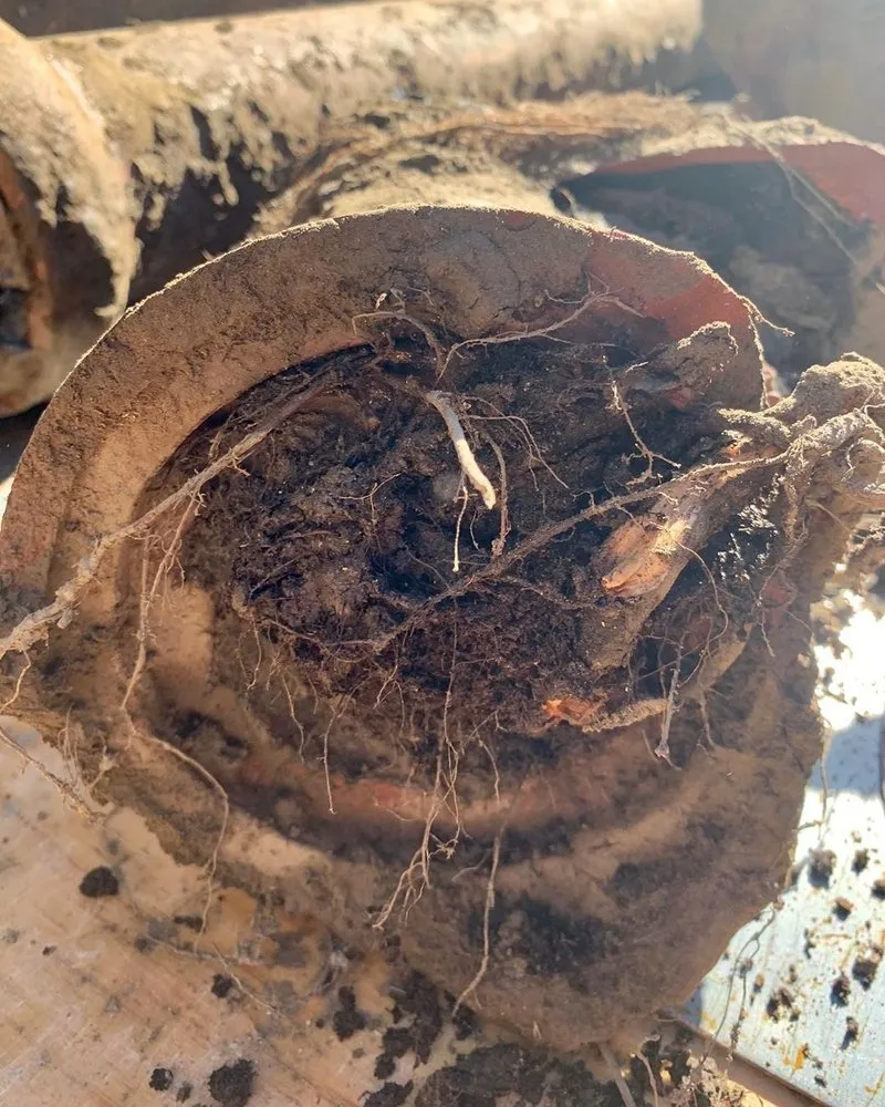 Slide of Laughlin Plumbing