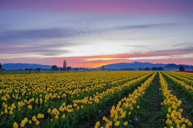 Slide of LaVergne's Plumbing & Heating