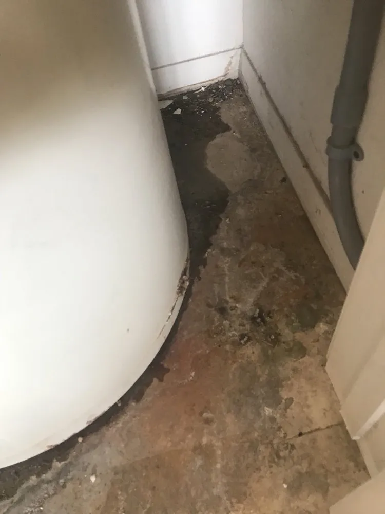 Top-rated pipe repair experts serving Phoenix, AZ - Lawson Family Plumbing