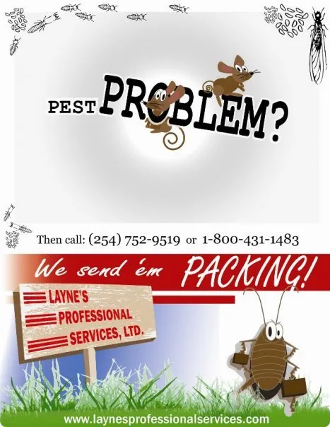 Slide of Layne's Professional Services