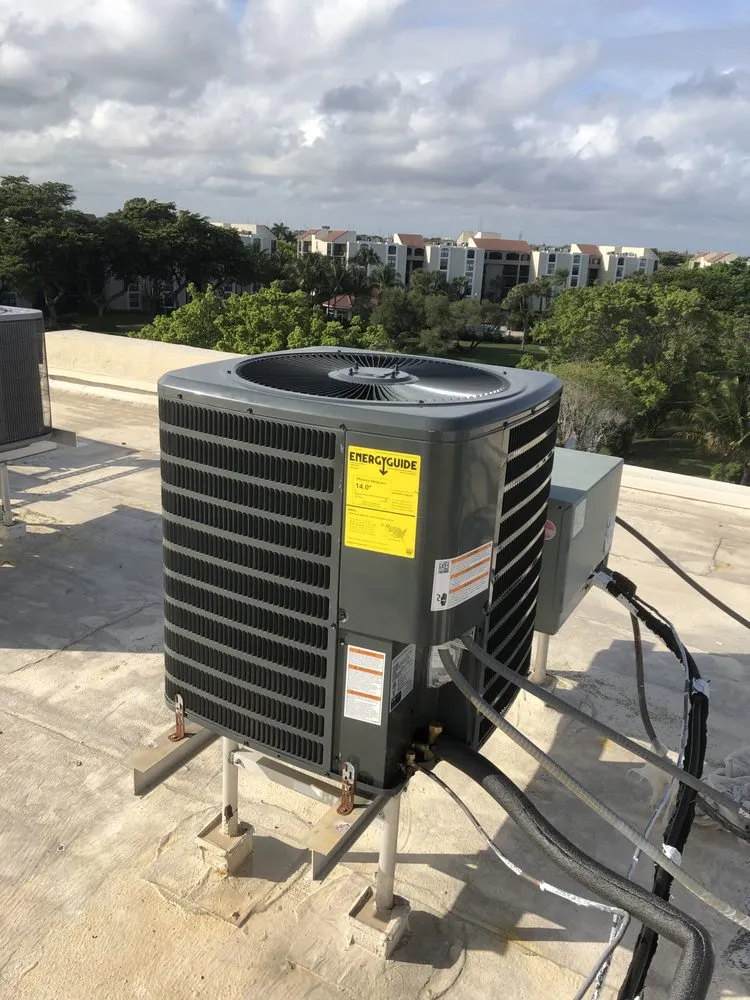 Slide of Laz P General Services