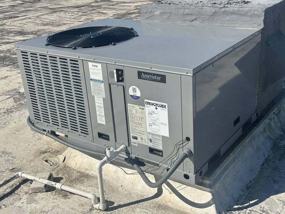 Slide of Laz P General Services