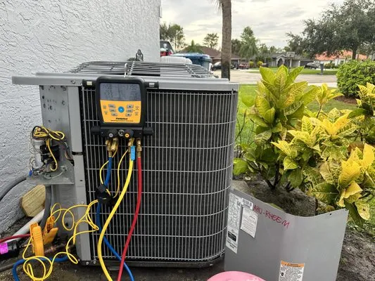 Laz P General Services