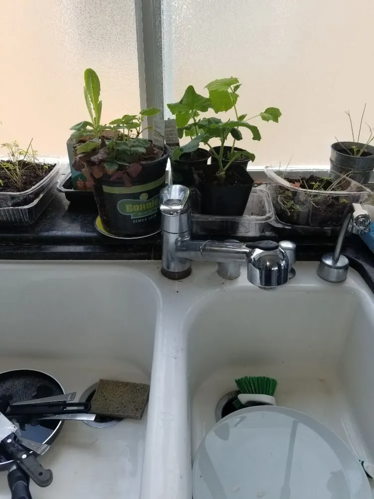 Slide of LC Doctor Plumber