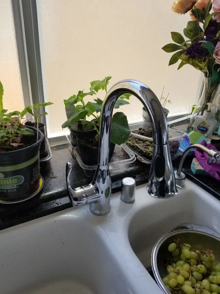 Slide of LC Doctor Plumber