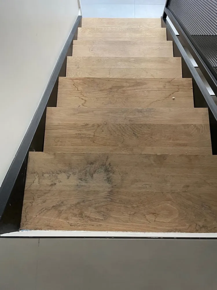 Trusted drain cleaning service in Hollywood, FL - Le Prestige Plumbing