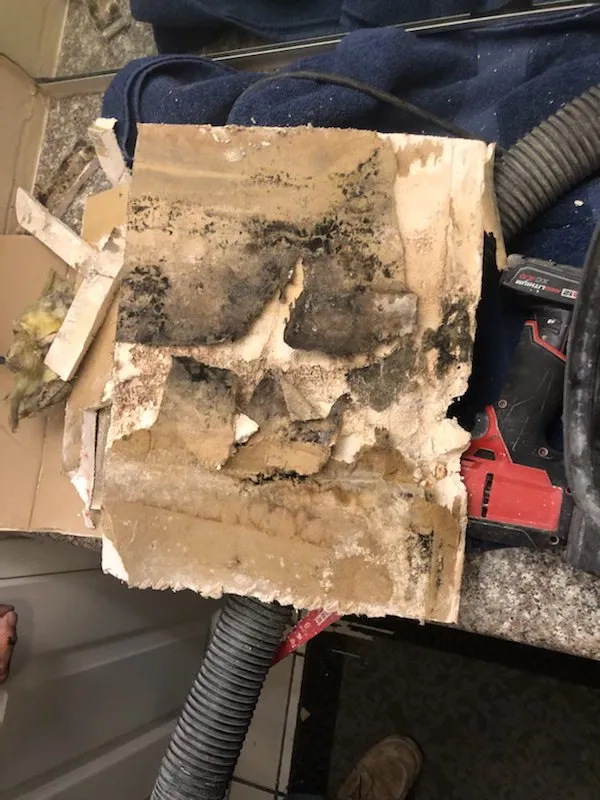 Slide of Leak Detection & Repair Pros