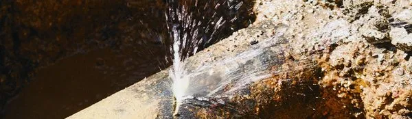 Leak Detection of Tennessee