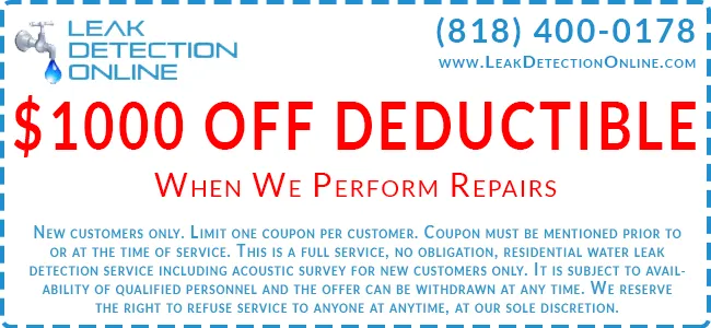 Slide of Leak Detection Online