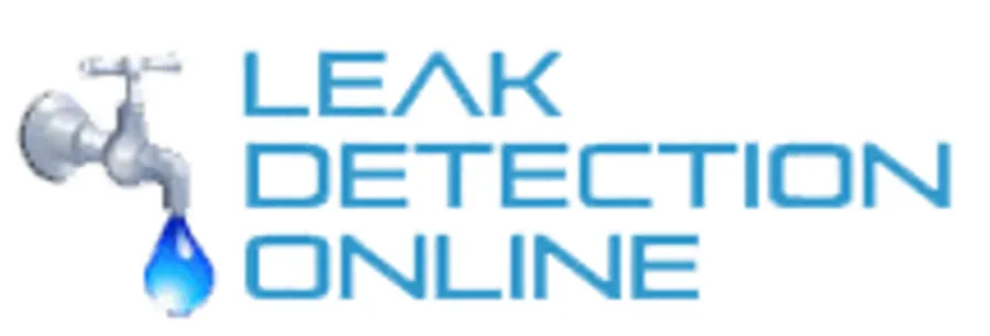 Slide of Leak Detection Online
