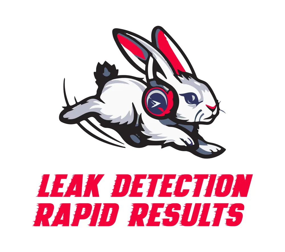 Slide of Leak Detection Rapid Results