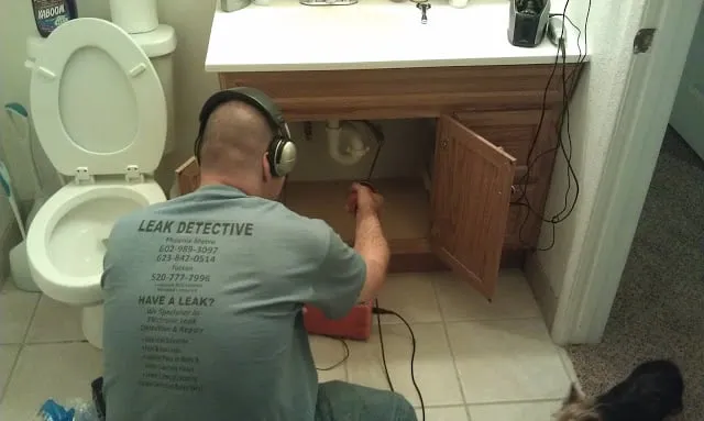 Slide of Leak Detective