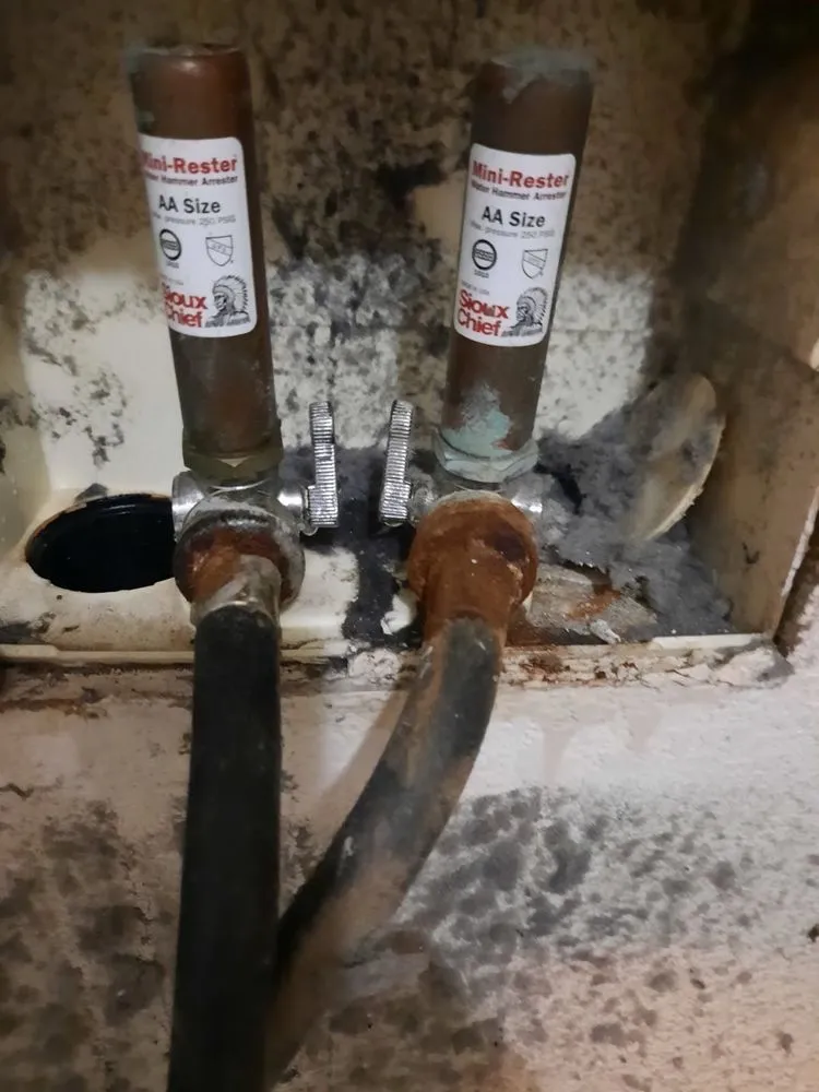 Slide of Leak Detectives