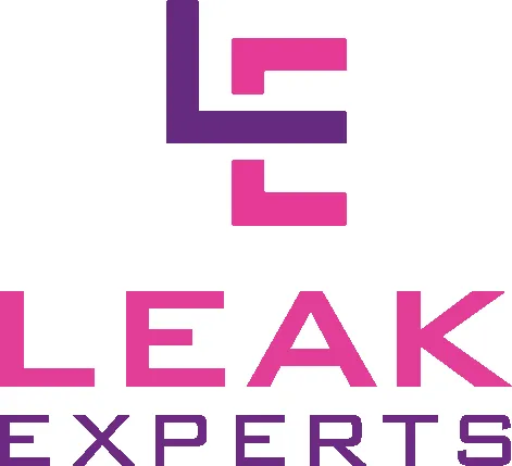 Slide of Leak Experts