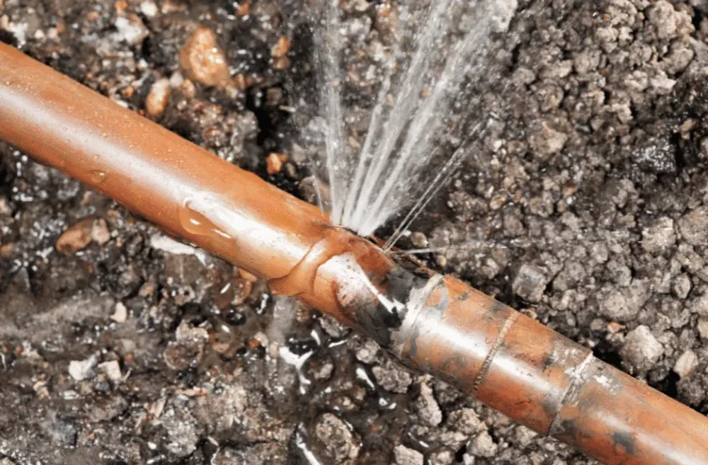 Slide of Leak Finder Plus