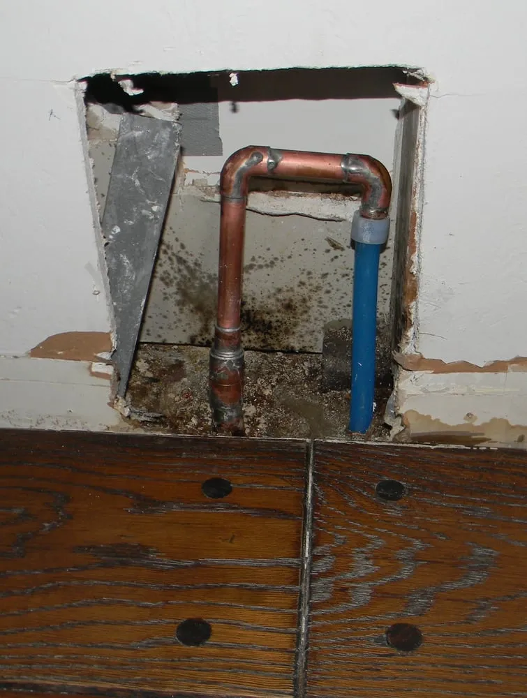 Slide of Leak Hounds