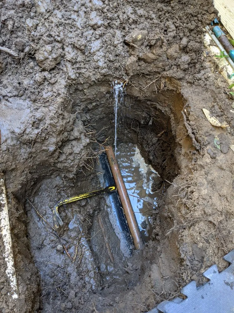 Slide of Leak Hounds