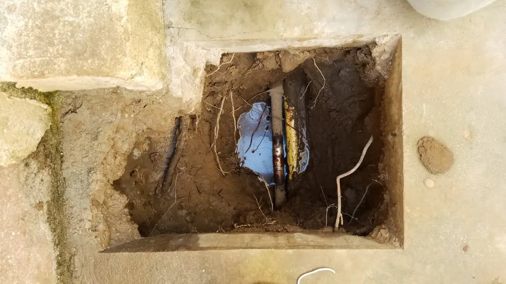 Slide of Leak Hounds