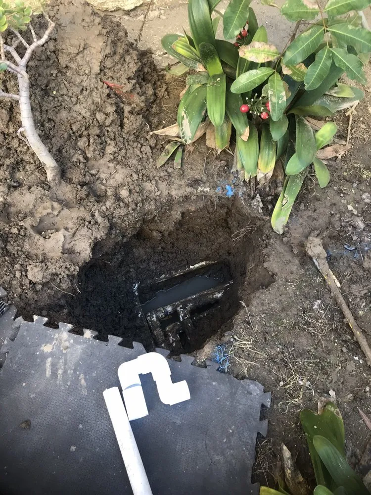 Slide of Leak Hounds